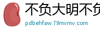 不负大明不负卿十光